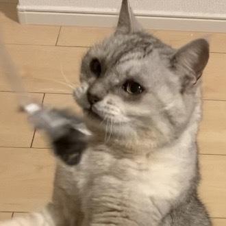 眞田　佳奈